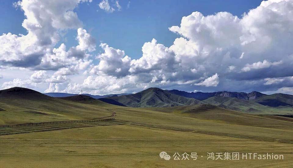 微信图片_2026-01-20_150639_623.jpg